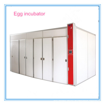 Neuer automatischer Hühnerei-Inkubator